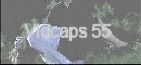 vidcaps55.jpg